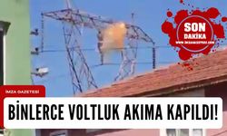 Yüksek gerilim hattında akıma kapıldı!