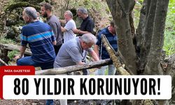 Kastamonu'da kaynak suyunu 80 yıldır köylüler koruyor...