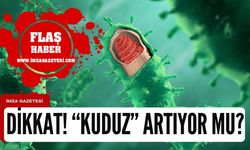 Dikkat! Kuduz hastalığında artış mı var?