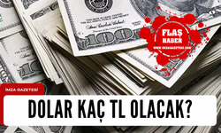 Yatırımcıların merakla beklediği soru dolar kaç TL olacak?