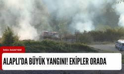 Alaplı’da yangın! Çok sayıda ekip sevk edildi