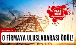 O elektrik firmasına uluslararası 2 ödül!