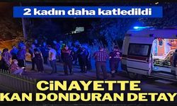 2 kadın daha katledildi: Cinayet işlemiş cezaevinden çıkmış!..