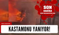 Kastamonu’da köy yangını!