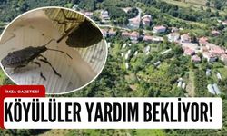 Bartın Kazpınarı Köyü yardım bekliyor!