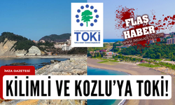 Kozlu ve Kilimli'ye TOKİ yapılması niyeti var mı?