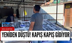 Hamsi düştü, vatandaş gözünü orada açtı!