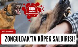 Zonguldak'ın ilçesinde sokak köpekleri motorlu kuryeye saldırdı!