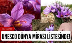 UNESCO Dünya Mirası Listesi'nde Safranbolu safranı!