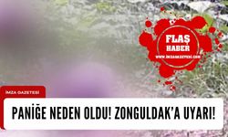 Kastamonu'da paniğe neden oldu! Zonguldak'a inebilir...