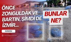 Daha önce Zonguldak ve Bartın'da görülen istila bu sefer İzmir'de!