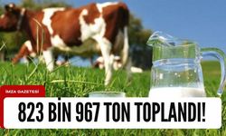 823 bin 967 ton inek sütü toplandı!