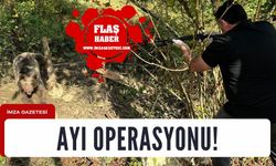 Ayı kurtarma operasyonu 3 saat sürdü!