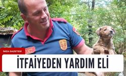 İtfaiye ekiplerinden yavru köpeğe yardım eli...