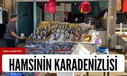 Karadeniz hamsisine yoğun ilgi...