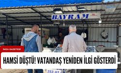 Hamsi düşüşe geçti! Vatandaş gözünü orada açtı