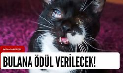 Bulana ödül verilecek! Her yerde aranıyor