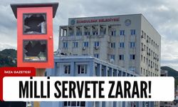 Milli servete zarar verenlere belediyeden tepki!