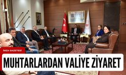 Muhtarlardan vali Hacıbektaşoğlu'na ziyaret...