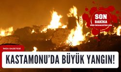 Kastamonu'da 43 ev yandı!