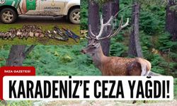 Zonguldak, Ordu, Trabzon, Rize, Bartın, Giresun, Kastamonu'da kaçak avcılığa ceza!