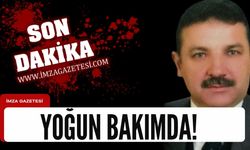 Zonguldak'ın sevilen başkanı ağaçtan düşerek ağır yaralandı!
