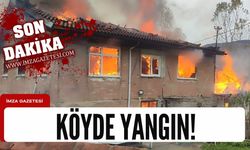 Bartın'ın köyünde yangın!