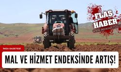 Mal ve hizmet endeksinde artış!