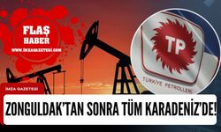 TPAO Zonguldak'tan sonra Karadeniz'de petrol aramak için izin aldı!