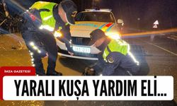 Zonguldak'ta Jandarma Ekipleri Yaralı Karabatak Kuşu Kurtardı