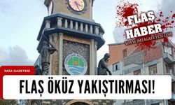 Eski İlçe Başkanı ne demek istedi? Flaş öküz yakıştırması!