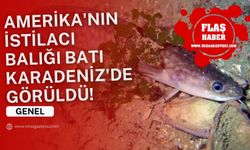 Amerika'nın istilacı balığı Batı Karadeniz'de görüldü!