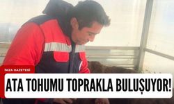 Ata tohumu toprakla buluşuyor!