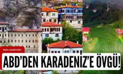 ABD'li şirketten Bartın, Karabük, Trabzon ve Rize'ye övgü dolu sözler...