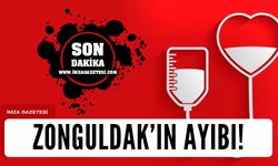 Zonguldak'ın ayıbı!