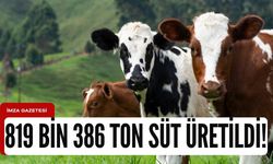 Ticari süt işletmeleri 819 bin 386 inek sütü topladı!
