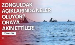 Zonguldak açıklarında neler oluyor? Oraya akın ettiler...