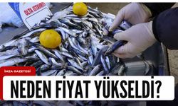 Balık fiyatları 2'ye katladı! Zonguldak Ereğli ve Sinop da olmasa!