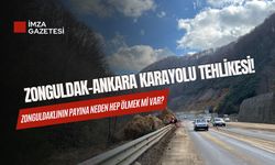 Zonguldak-Ankara Karayolu tehlikesi! CHP İl Başkanı Dural uyardı!