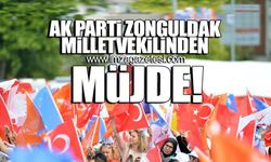 Ak Parti Zonguldak Milletvekili Saffet Bozkurt'tan kadastro müjdesi!