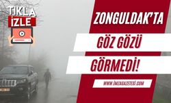 Zonguldak'ta sis ve soğuk hava etkili oldu