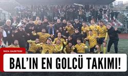 Bölgesel Amatör Lig'in en golcü takımı Alaplı Belediyespor oldu!