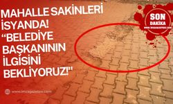 Mahalle Sakinleri İsyanda: Belediye Başkanının İlgisini Bekliyoruz!"