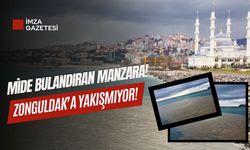 Mide bulandıran manzara... Zonguldak'a yakışmıyor!