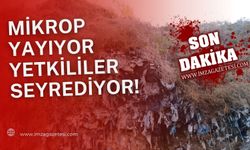 Mikrop yayıyor, yetkililer seyrediyor!