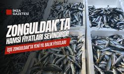 Zonguldak'ta hamsi fiyatları sevindirdi...