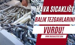Zonguldak'ta hava sıcaklıkları balık tezgahlarını vurdu!