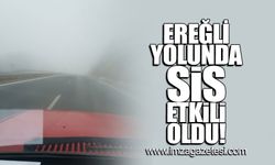 Zonguldak Ereğli yolunda sis etkili oldu!