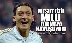 Mesut Özil Milli formaya kavuşuyor!