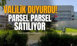 Zonguldak'ta sanayi parselleri satışa çıktı!